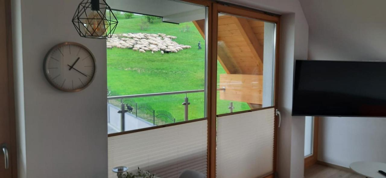 Apartamenty Bachledzki Wierch 자코파네 외부 사진